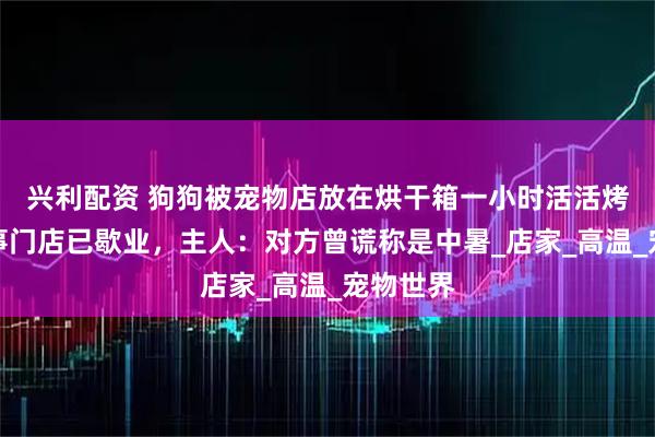 兴利配资 狗狗被宠物店放在烘干箱一小时活活烤死？涉事门店已歇业，主人：对方曾谎称是中暑_店家_高温_宠物世界